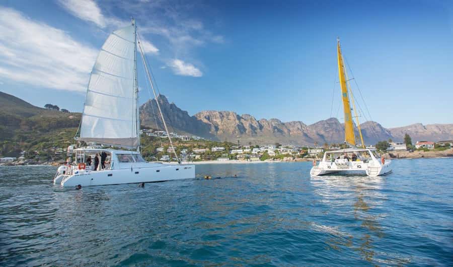 Cape Town: V&A Waterfront Gin Voyage Cruise - Two gin servings and a little drink science