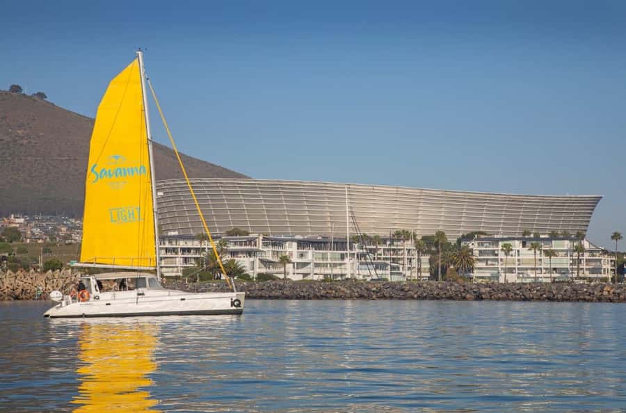 Cape Town: V&A Waterfront Gin Voyage Cruise - Wildlife sightings are a bonus, not the plan