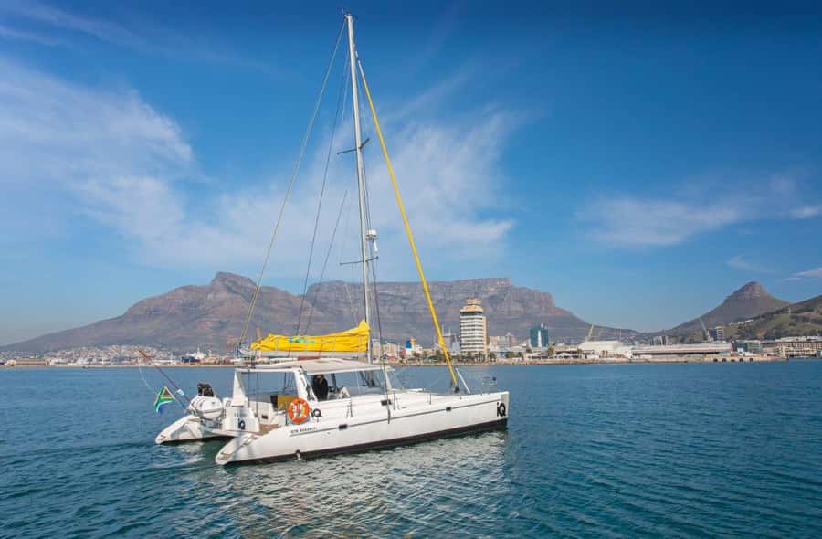 Cape Town: V&A Waterfront Gin Voyage Cruise - Who will enjoy the Gin Voyage most