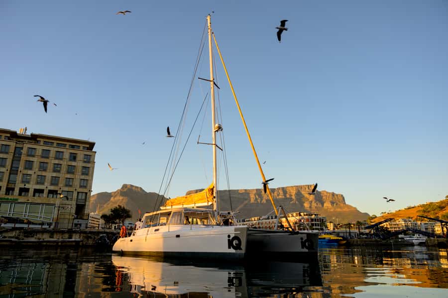 Cape Town: V&A Waterfront Gin Voyage Cruise - What the one-hour cruise feels like