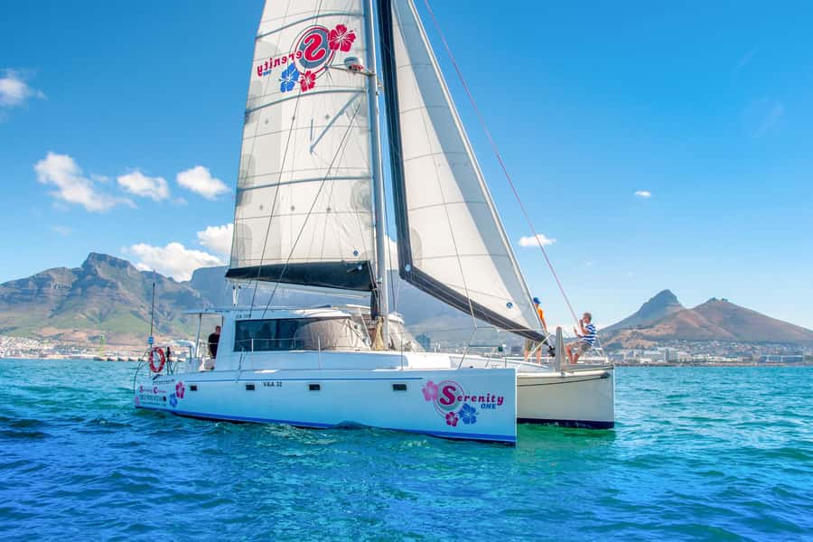 Cape Town Waterfront and Bay: Sailing Trip - Is $25 good value for one hour?