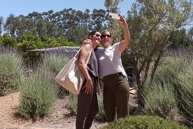 Cape Town Wine Tasting - Paarl: Wine, Afrikaans culture, and Paarl Rock