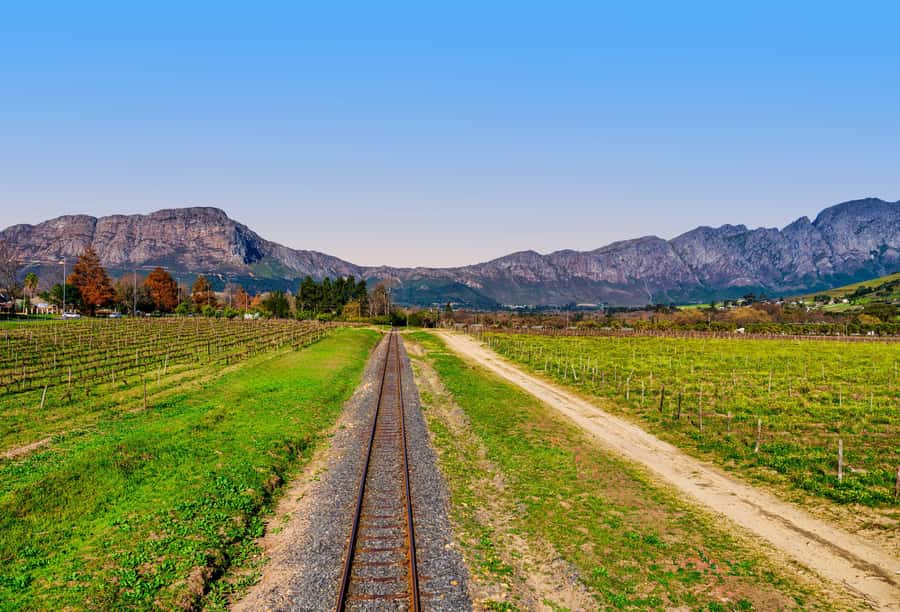Cape Town: Wine Tram & Winelands Tour with Tastings & Pickup - Four estates, varied wine styles, and pairings