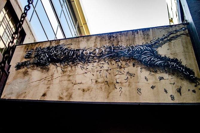 Cape Town Woodstock Street Art Walking Tour - What the Neighborhood Stories Add