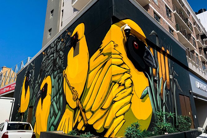 Cape Town Woodstock Street Art Walking Tour - Who Should Book This Woodstock Walk?