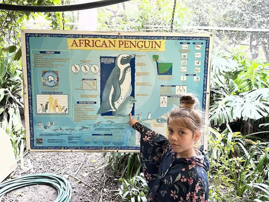Cape Town: World of Birds & Animal Sanctuary - Should you book World of Birds?