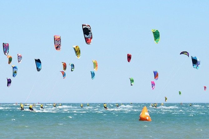 Cape West Coast Full Day Private Day Tour - Yzerfontein and the whale season