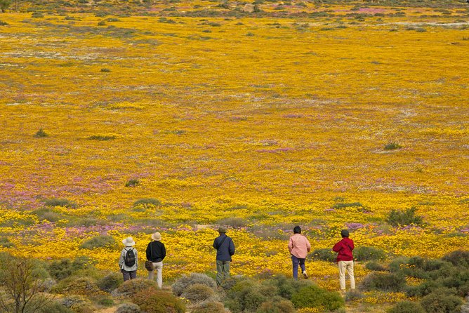 Cape West Coast Full Day Private Day Tour - Langebaan, the West Coast’s holiday town