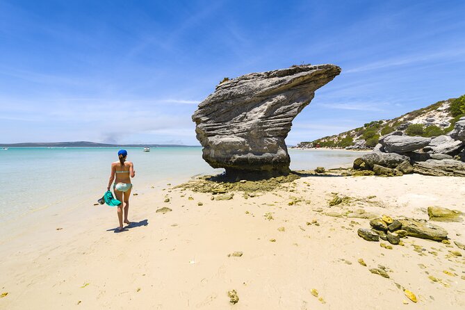 Cape West Coast Full Day Private Day Tour - Five-million-year-old fossils at West Coast Fossil Park