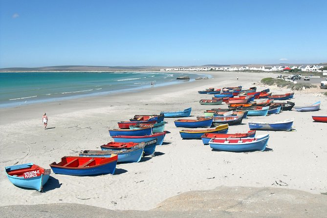 Cape West Coast Full Day Private Day Tour - Darling and the taste of the countryside