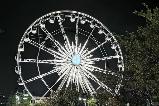 Cape Wheel Admission Ticket - Families, children, and nervous riders