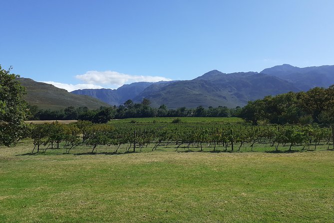 Cape Winelands and Wine Tasting Full Day Tour - What this Cape Winelands day is really like