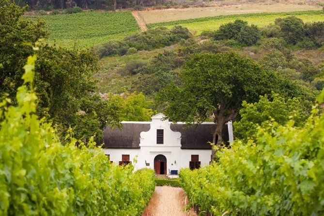 Cape Winelands and Wine Tasting Full Day Tour - Fairview Wine and Cheese in Paarl Valley
