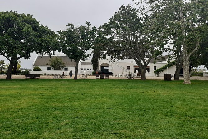 Cape Winelands and Wine Tasting Full Day Tour - Stellenbosch, oak trees, and Cape Dutch buildings