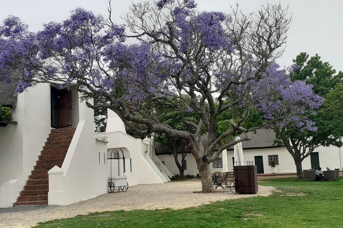 Cape Winelands and Wine Tasting Full Day Tour - The guide makes or breaks the day