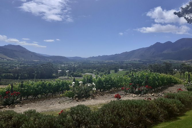 Cape Winelands and Wine Tasting Full Day Tour - Price, group size, and what you will actually spend