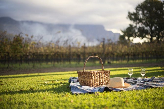 Cape Winelands Explore Full Day Tour with Private Transfer - An hour in Franschhoek for lunch