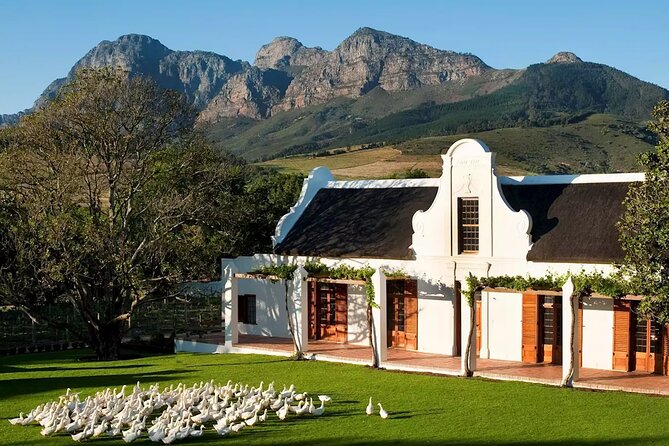 Cape Winelands Explore Full Day Tour with Private Transfer - Is $241.56 per person a fair price?