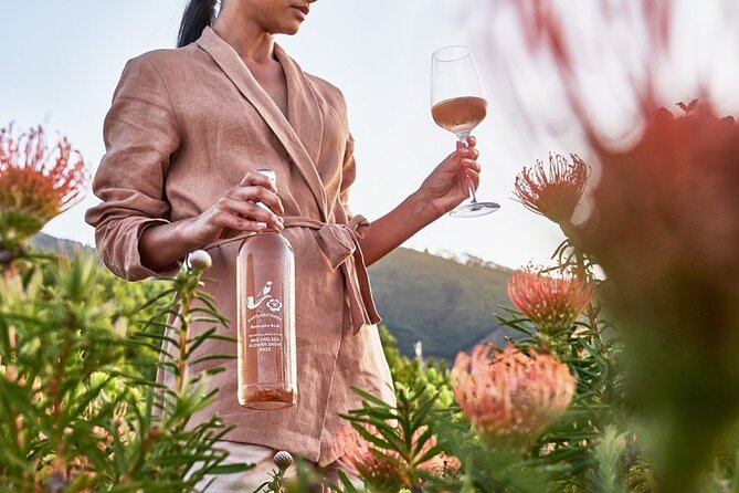 Cape Winelands Explore Full Day Tour with Private Transfer - Who should book this experience?