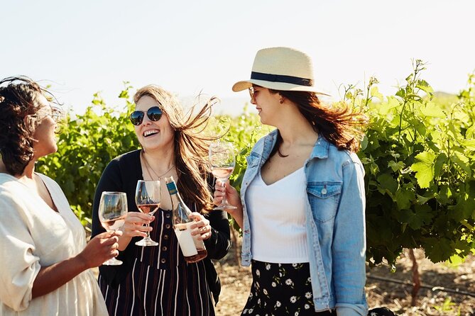 Cape Winelands Explore Full Day Tour with Private Transfer - Plaisir de Merle and the old barn tasting room