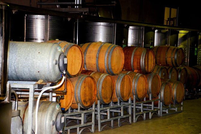 Cape Winelands group tour - Paarl: wine, cheese, and mountain views