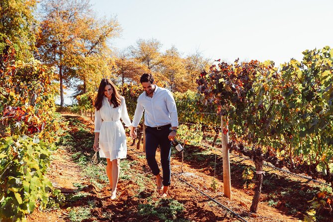 Cape Winelands Private Tour to Stellenbosch and Franschhoek - DeMorgenzon and the sound of classical music