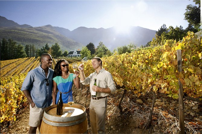 Cape Winelands Private Tour to Stellenbosch and Franschhoek - Delaire Graff closes the day in grand style