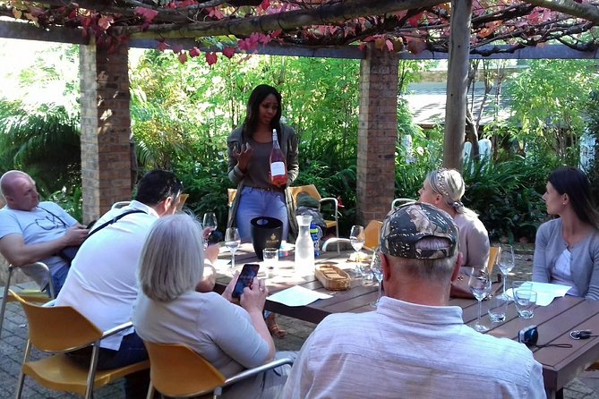 Cape Winelands Private Tour - Fairview: wine and goat cheese in Paarl