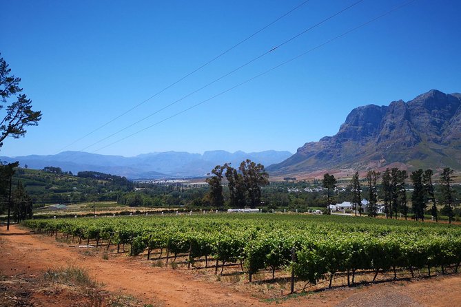 Cape Winelands Stellenbosch Franschhoek Paarl Tour from Cape Town - Guides make the difference