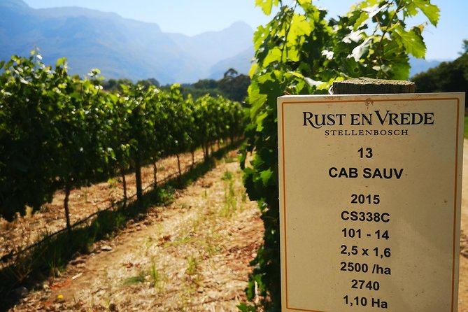 Cape Winelands Stellenbosch Franschhoek Paarl Tour from Cape Town - Should you book the Stellenbosch, Franschhoek, and Paarl tour?