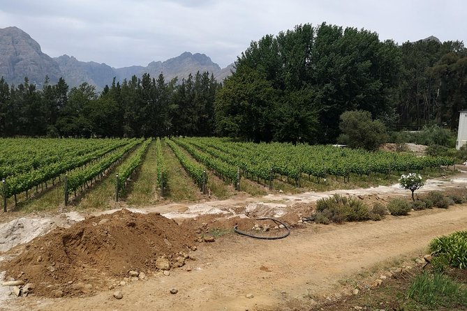 Cape Winelands Stellenbosch Franschhoek Paarl Tour from Cape Town - Franschhoek and the Hell’s Hoogte mountain road