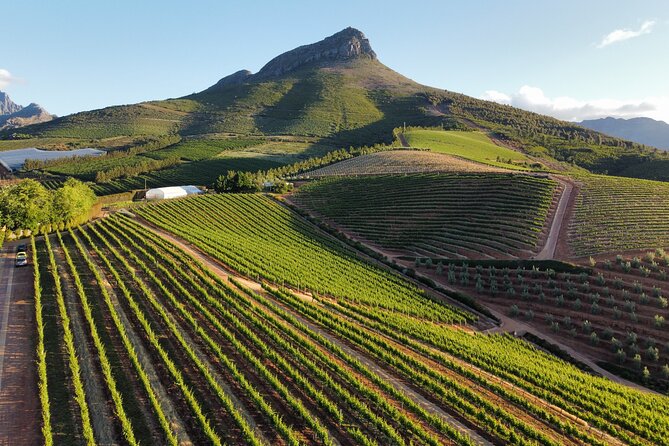 Cape Winelands Tour - Key points at a glance