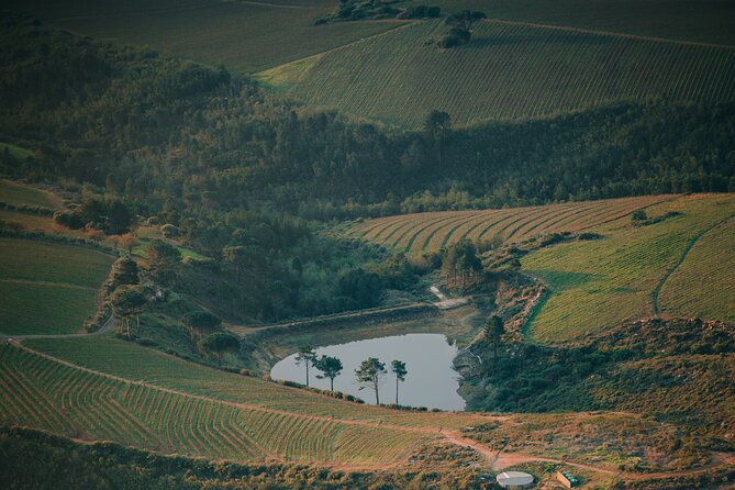 Cape Winelands Tour - Haute Cabrière and Cape Classique