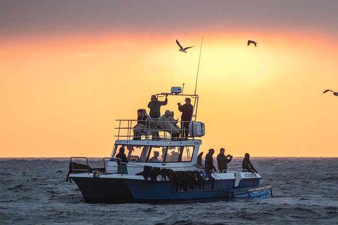 CapeTown: Shark Cage Diving Experience with Scuba - What the SCUBA setup feels like