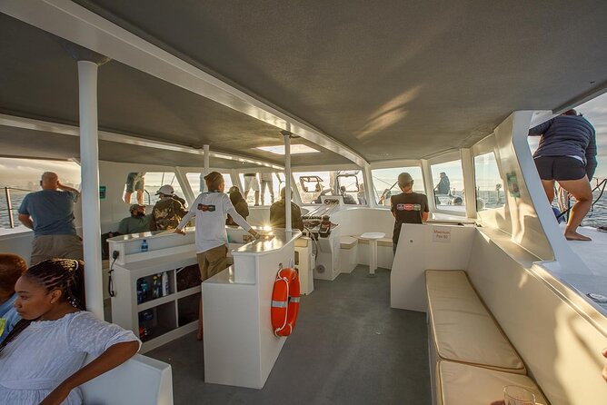 Catamaran Sunset Champagne Cruise Cape Town - Dolphins, whales, penguins, and the open sea