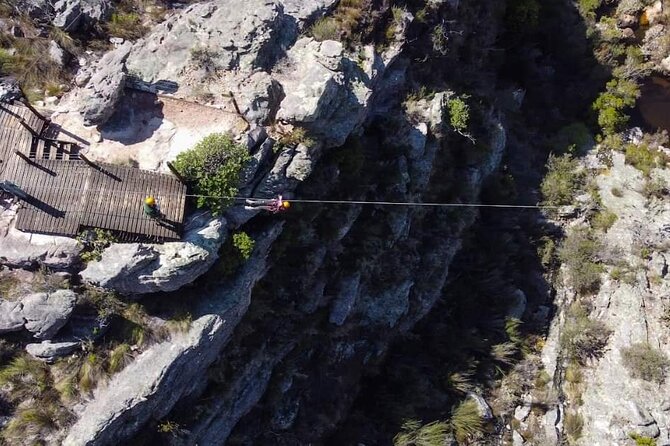 Ceres Zipline Tour - The Value of $28.91 Per Person