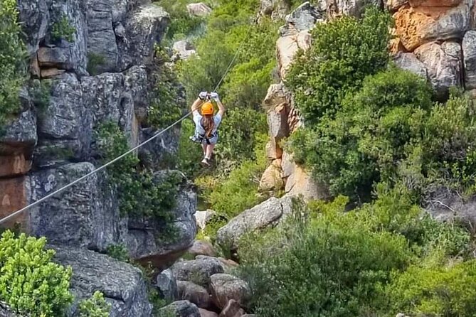 Ceres Zipline Tour - What the Strong Feedback Tells You