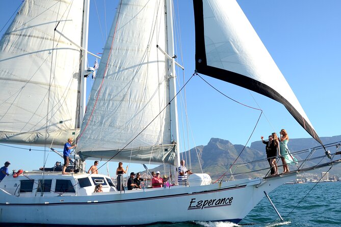 Champagne Cruise (Pre-Sunset) from Cape Town - One hour on the Atlantic, with Cape Town in view