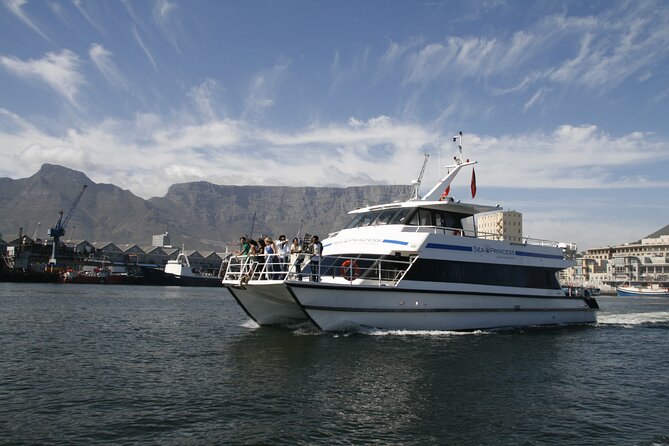 Champagne Cruise (Pre-Sunset) from Cape Town - Why the timing works well for families