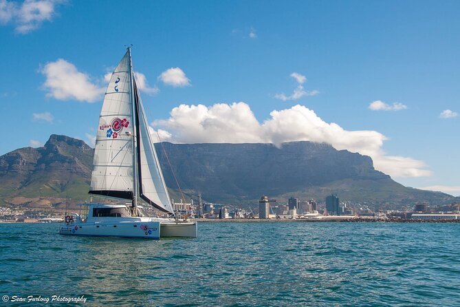 Champagne Cruise (Pre-Sunset) from Cape Town - A glass of sparkling wine, not a full meal