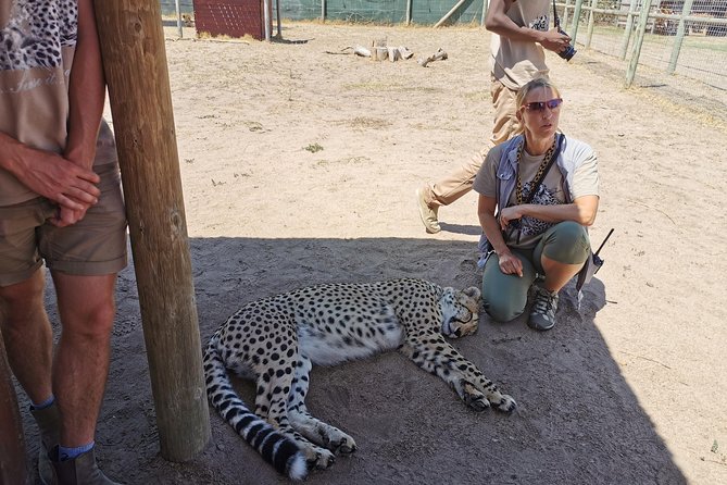 Cheetah Outreach Tour Somerset West, Gordon's Bay and Strand Beaches - The guides can make the road time worthwhile