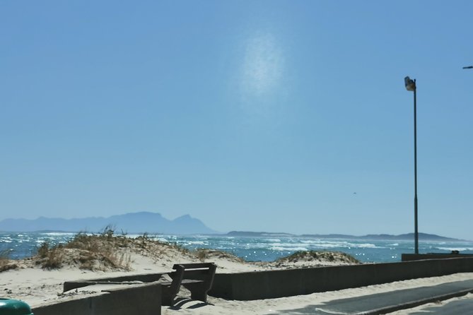 Cheetah Outreach Tour Somerset West, Gordon's Bay and Strand Beaches - Who should book this experience?