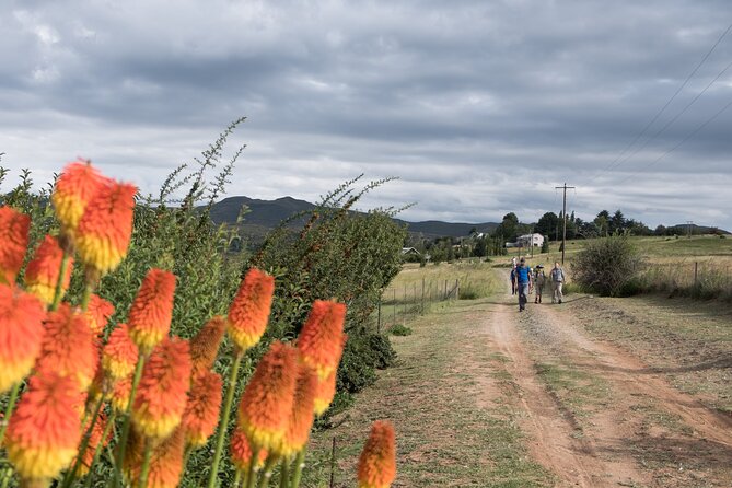 Clarens San-traverse Slackpack - Day three: waterfalls, Batwing caves, and sandstone ravines