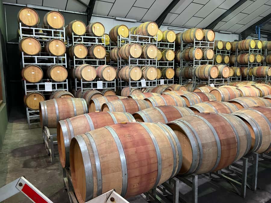 Constantia Half day Wine Tasting tour - FAQ
