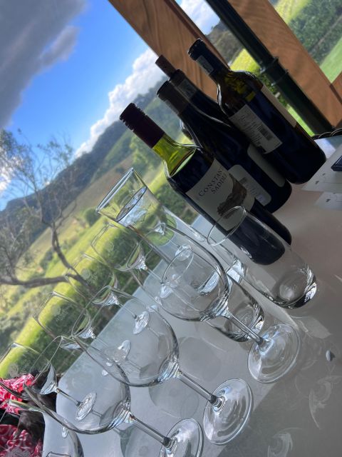 Constantia Half day Wine Tasting tour - Should you book it?