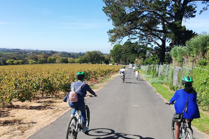 Constantia Hidden Gem Cycle Half Day - Private Tour - Onto the Bicycle Through Constantia Valley