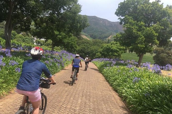 Constantia Hidden Gem Cycle Half Day - Private Tour - Why the Hills Matter More Than the Price