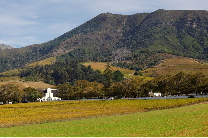 Constantia Hidden Gem Cycle Half Day - Private Tour - Booking, Timing, and Cancellation