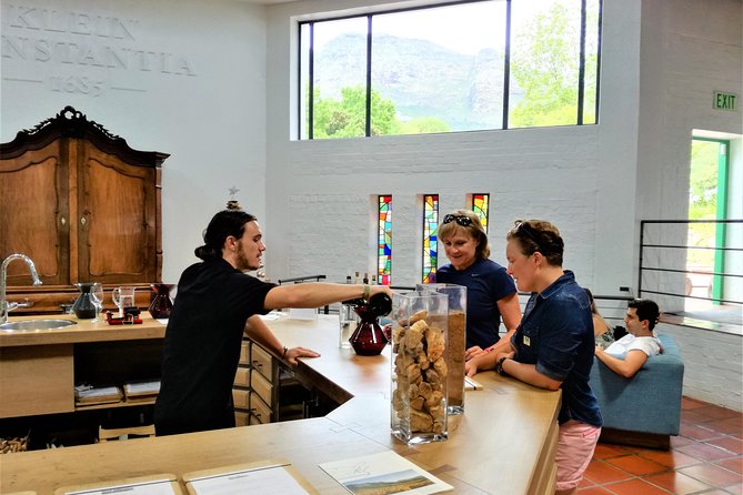 Constantia Hidden Gem Cycle Half Day - Private Tour - Wine Farms Around the Valley