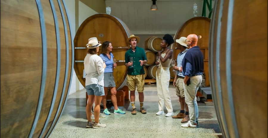 Constantia: Wine Walk with Lunch and Enchanting Stories - Practical ways to enjoy the day